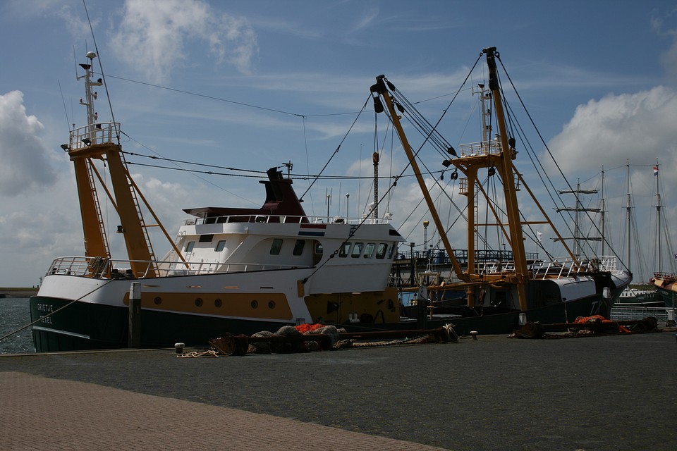 Texel 2009